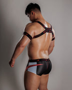 【4016】EMBER harness & armbands set