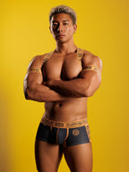[4148] KOFU SEIGETSU harness & armbands set