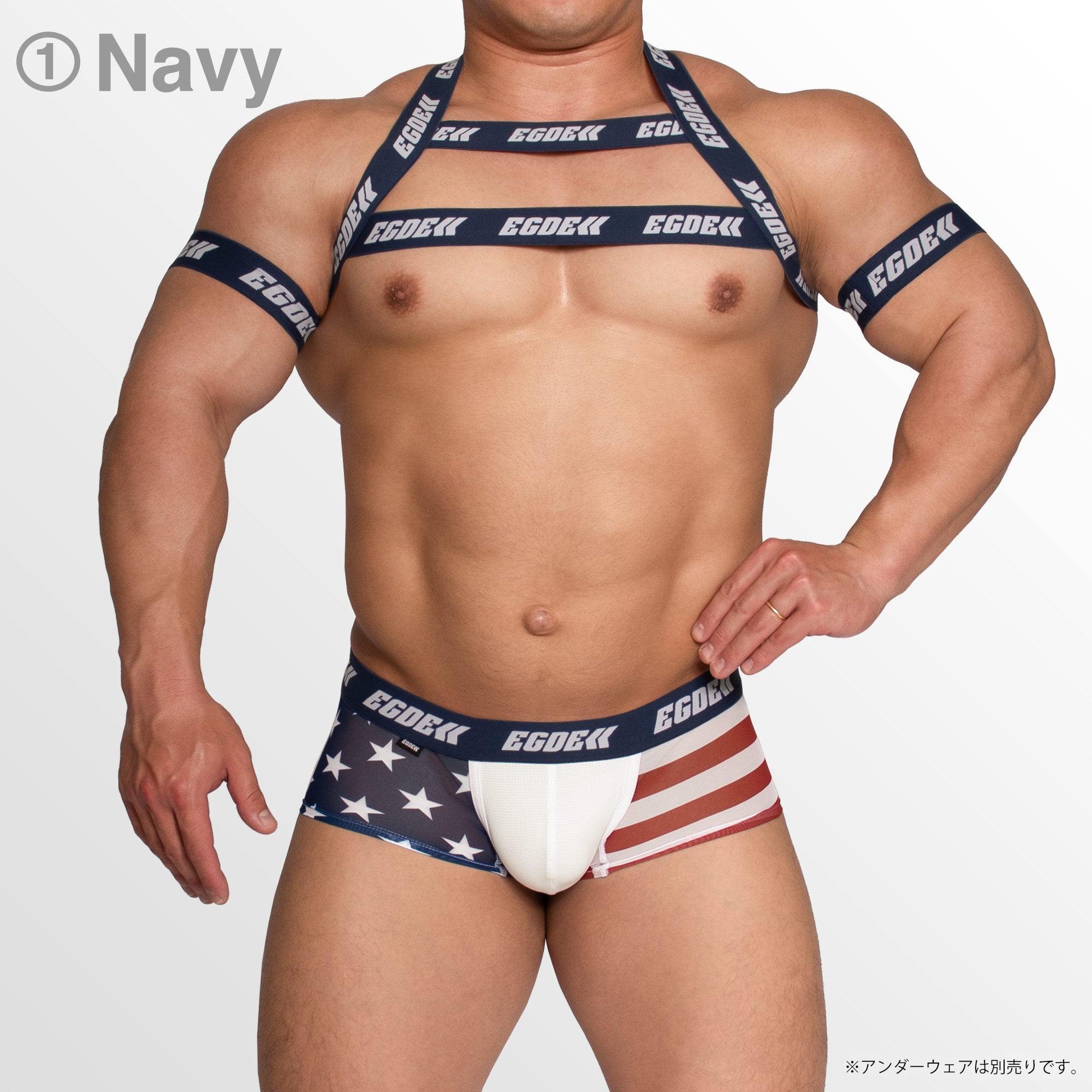 【4028】STARS AND STRIPES wline harness & armbands set