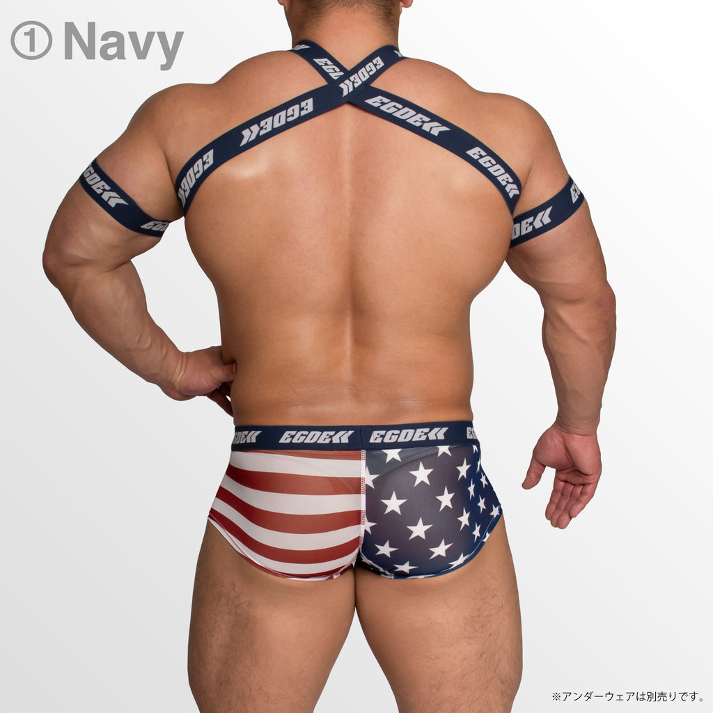 【4028】STARS AND STRIPES wline harness & armbands set