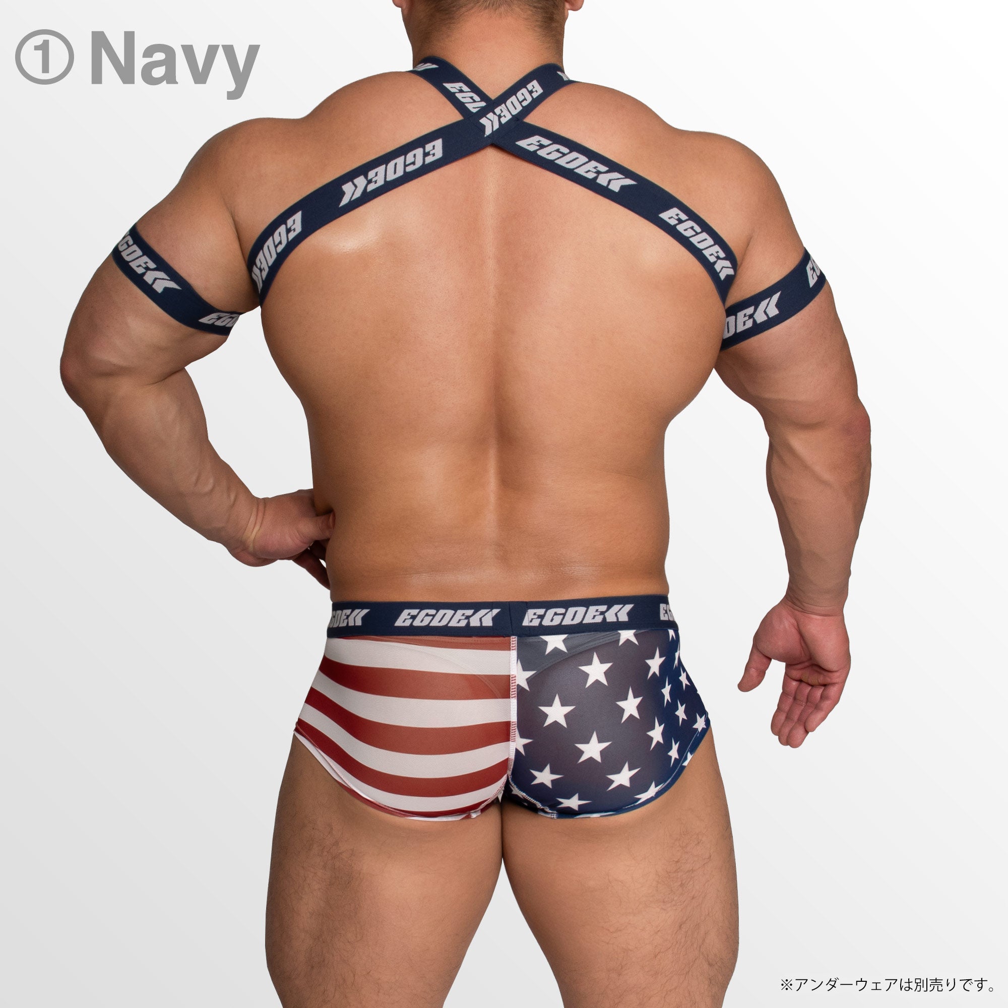 【4028】STARS AND STRIPES wline harness & armbands set