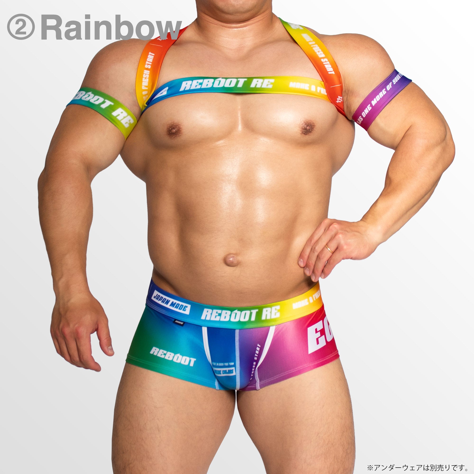 【4061】REBOOT RE PRIDE harness & armbands set