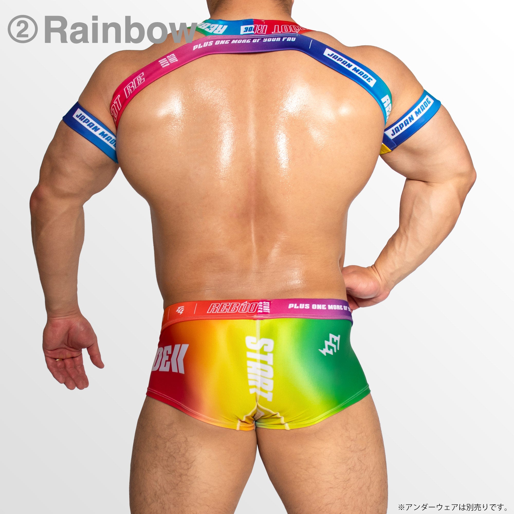 【4061】REBOOT RE PRIDE harness & armbands set