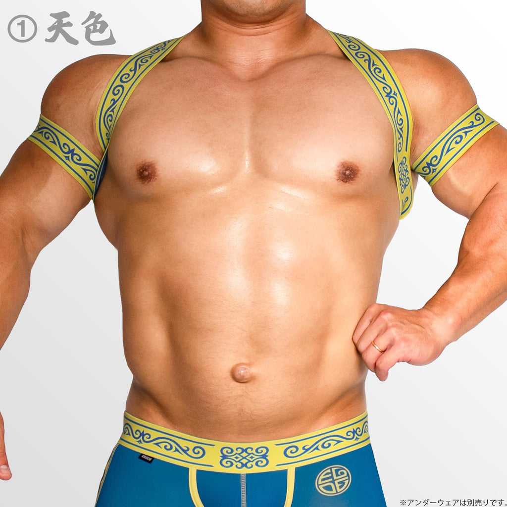 [4148] KOFU SEIGETSU harness & armbands set