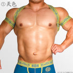[4148] KOFU SEIGETSU harness & armbands set