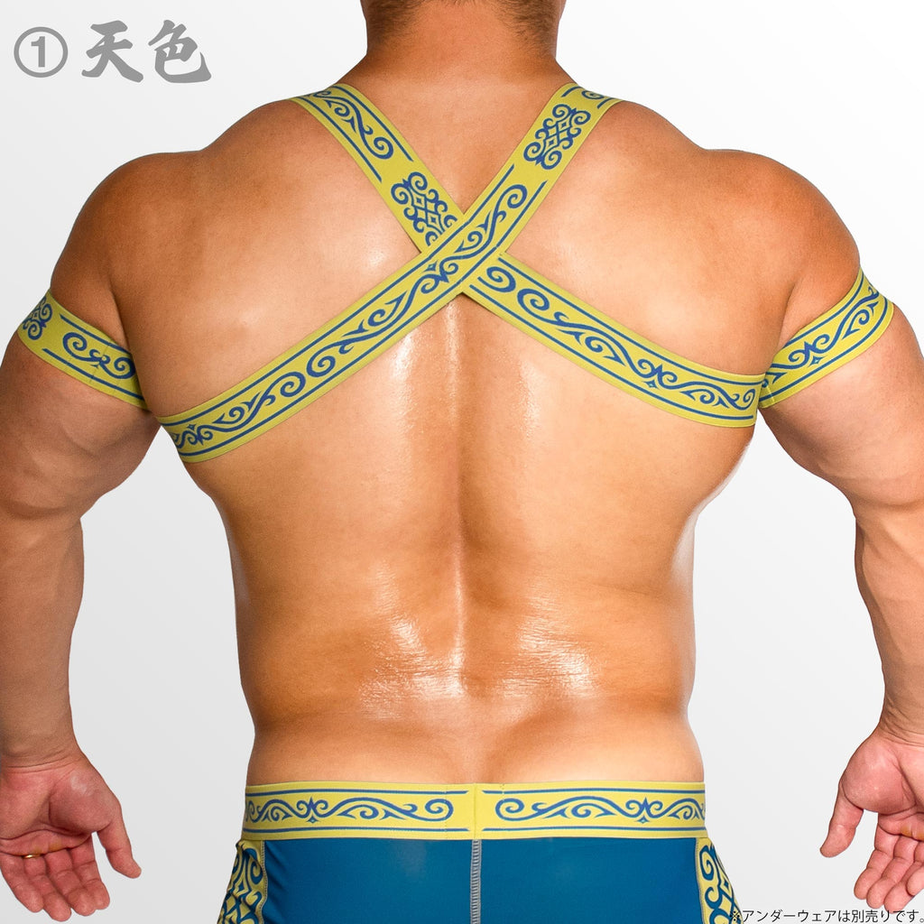[4148] KOFU SEIGETSU harness & armbands set