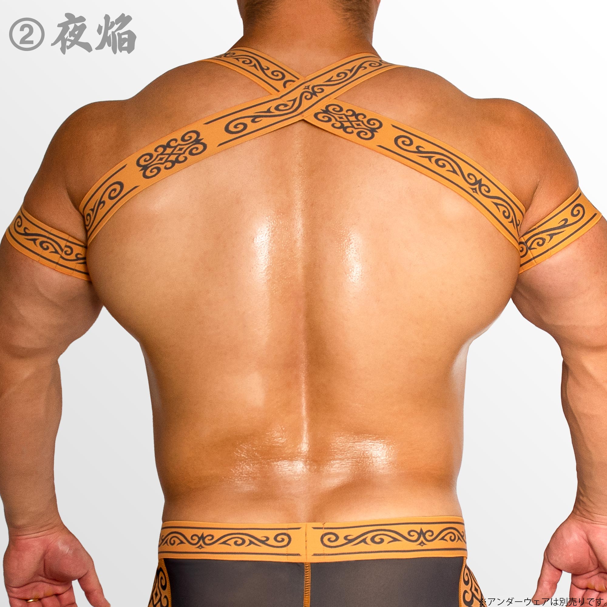 [4148] KOFU SEIGETSU harness & armbands set