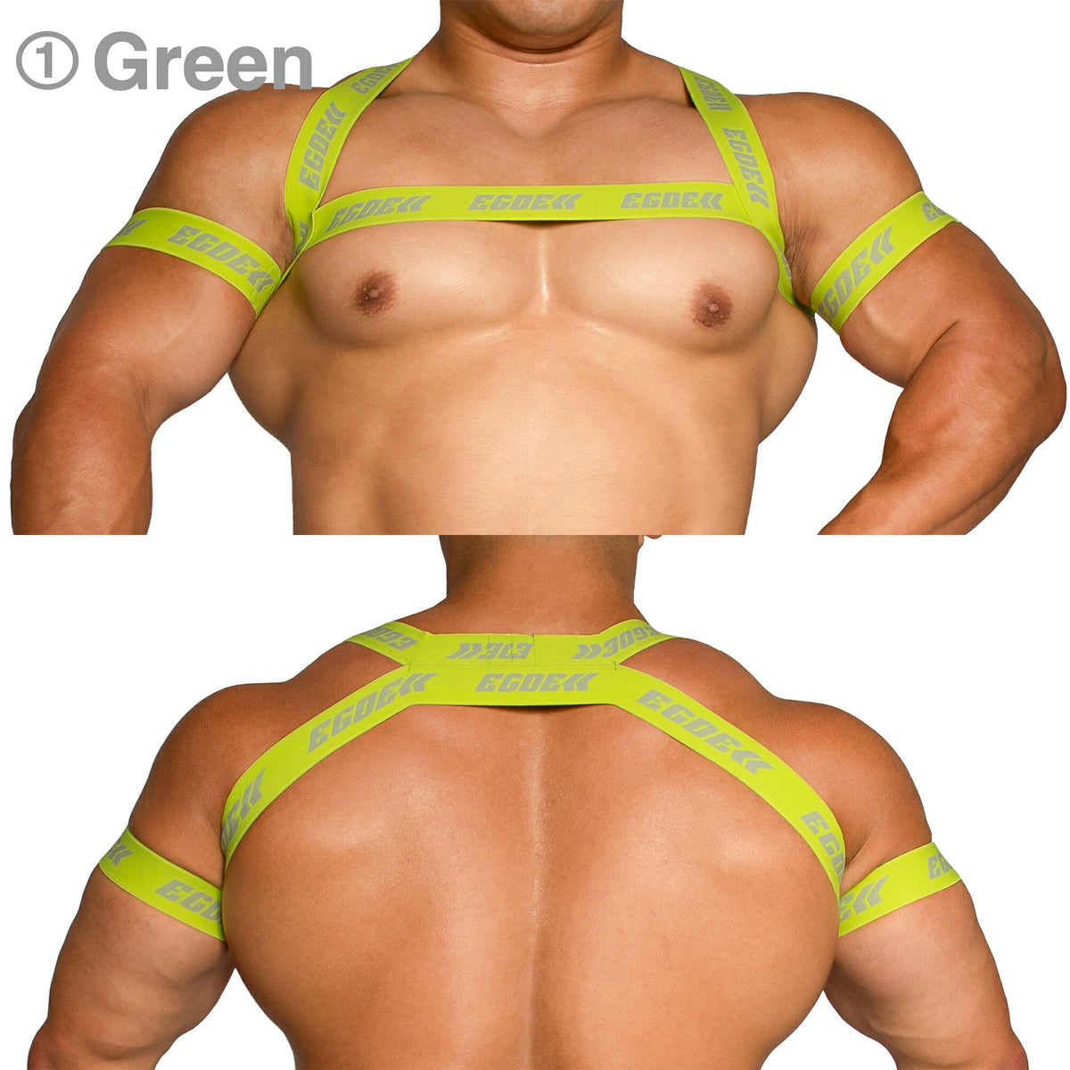 【4171】BEAM harness & armbands set