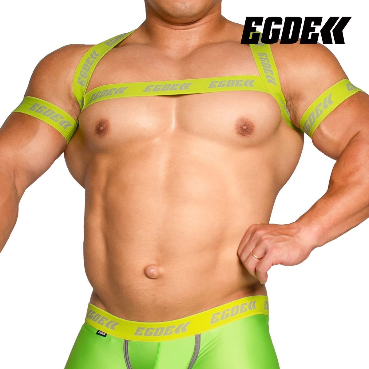 【4171】BEAM harness & armbands set