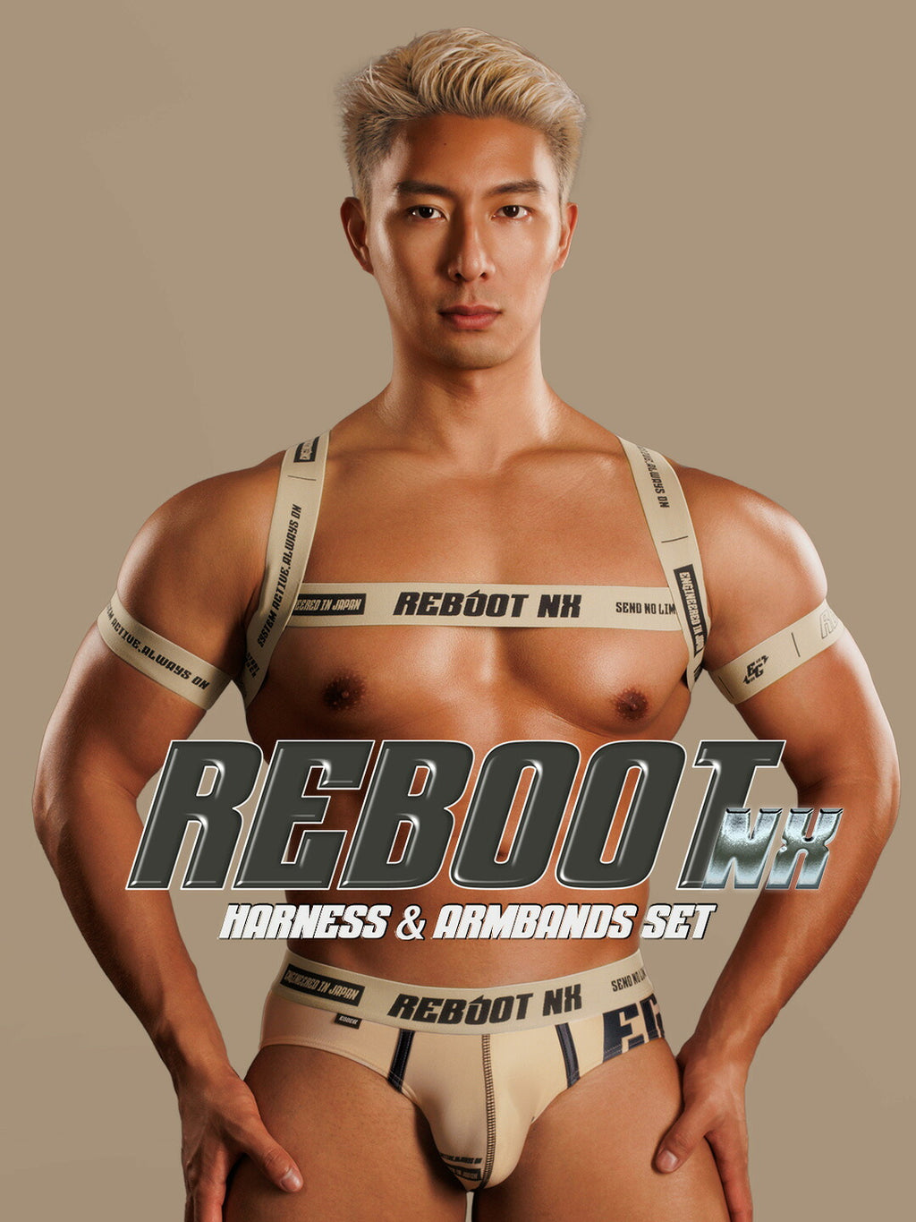 【4190】REBOOT NX harness & armbands set