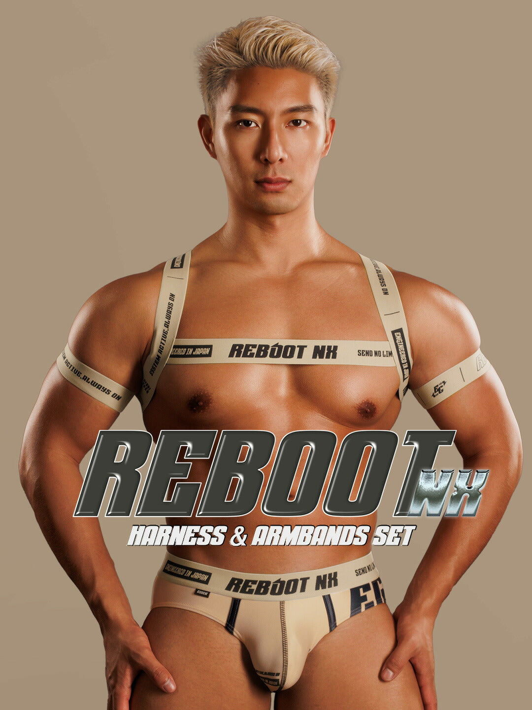 【4190】REBOOT NX harness & armbands set