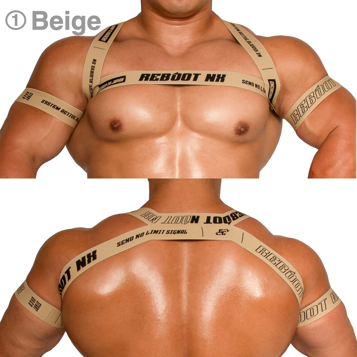 【4190】REBOOT NX harness & armbands set