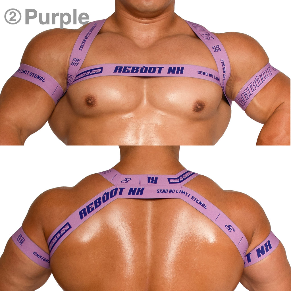 【4190】REBOOT NX harness & armbands set