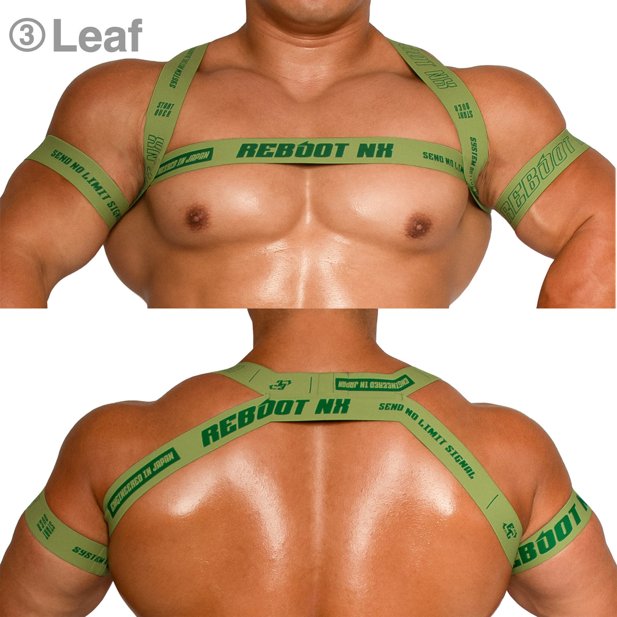 【4190】REBOOT NX harness & armbands set