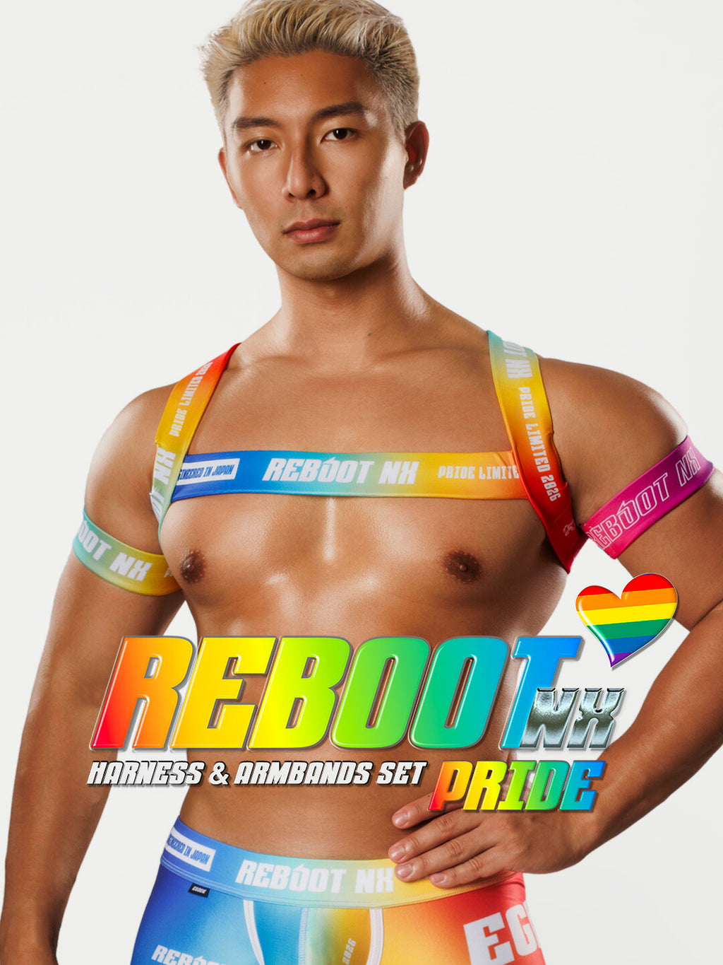 【4193】REBOOT NX PRIDE harness & armbands set