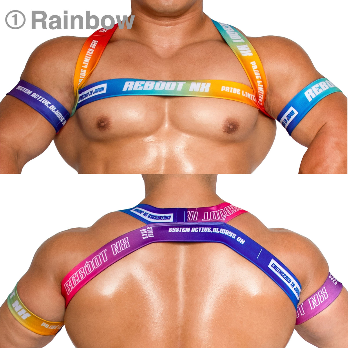 【4193】REBOOT NX PRIDE harness & armbands set