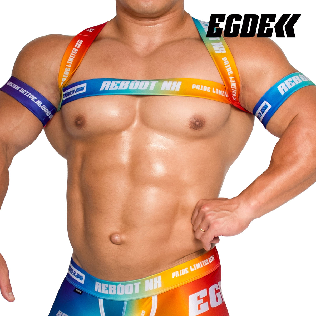 【4193】REBOOT NX PRIDE harness & armbands set