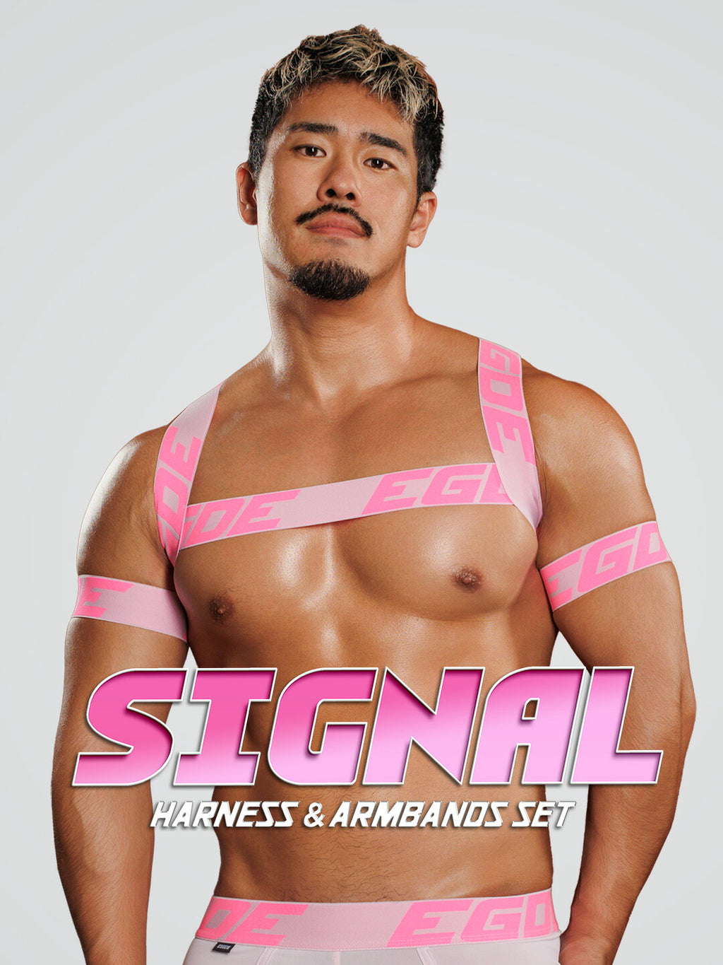 【4203】SIGNAL harness & armbands set